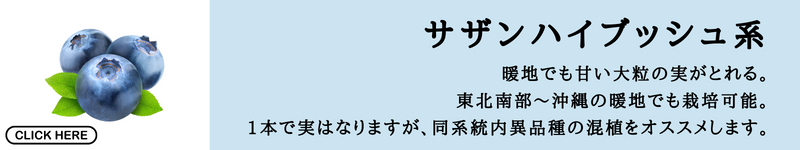 サザンハイブッシュ系