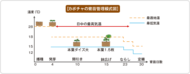 初めての育苗 種 苗 球根 ガーデニング用品 農業資材の通販サイト タキイネット通販