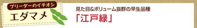 u[_[̃C`IV@G_}@ځ{[Q̑i@u]˗΁v