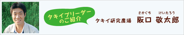 ^LCu[_[̂Љ