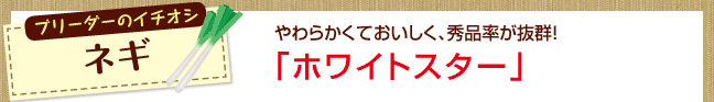 u[_[̃C`IV@lM@炩ĂAGiQIuzCgX^[v