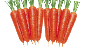 Ȃܐ