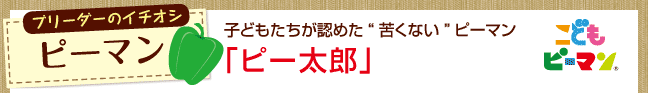 u[_[̃C`IV@s[}@qǂF߂ꂭȂs[}@us[Yv
