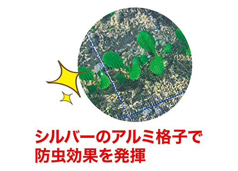 ソフライト