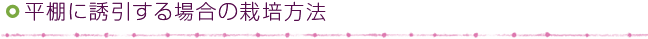 IɗUꍇ͔̍|@