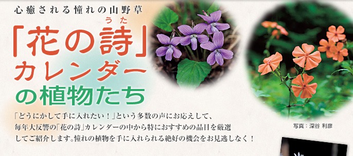 �Ԃ̎��J�����_�[���W