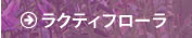 NeBt[