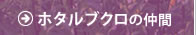 z^uN̒