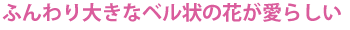 ӂ傫ȃx̉Ԃ炵