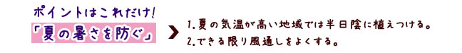 |Cg