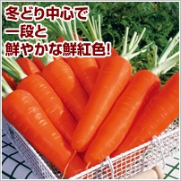 zi悤߂jܐ(R)
