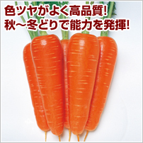 zBi悤イjܐ(R)