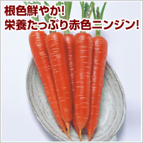 Ȃiybgqj