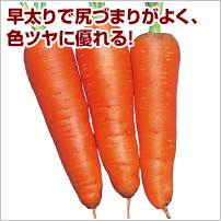 Vcܐ