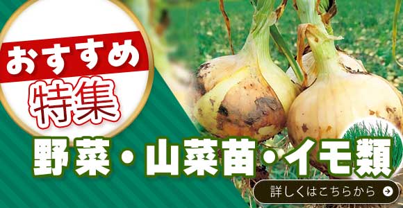 イモ類