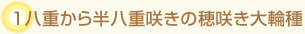 1d甼d炫̕炫֎