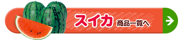 XCJiꗗ