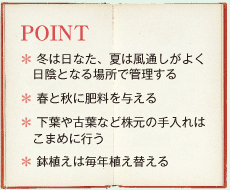 POINT