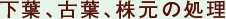 tA×tȀ