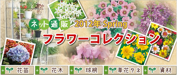 lbgʔ́@t[RNVW