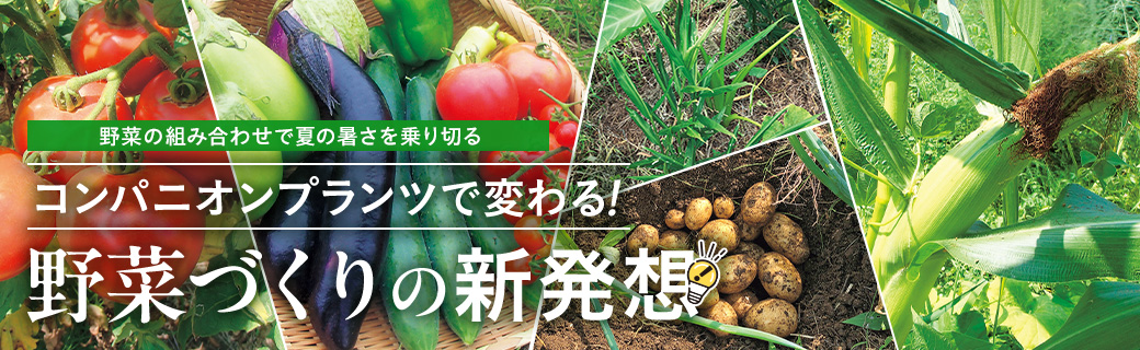 野菜作りの新発想