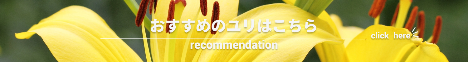 ユリ
