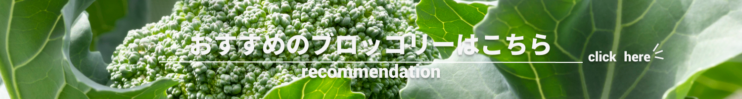 ブロッコリー