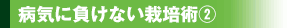 病気に負けない栽培術（2）