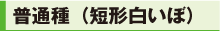 普通種（短形いぼ）