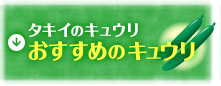 タキイのキュウリおすすめのキュウリ