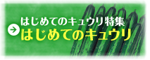 はじめてのキュウリ特集