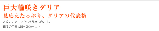 ֍炫_A
ՂA_Ȃ\i
唗͂̃AWgy߂܂B
Ԍa̖ڈFQW`ROȏ
