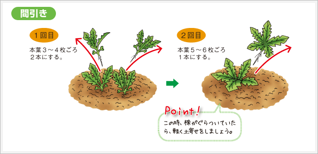 間引き