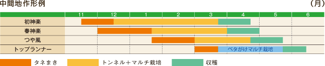 中間地作形例