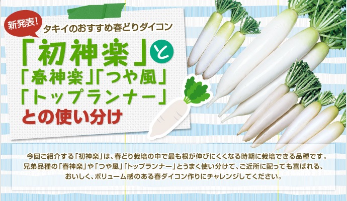 「初神楽」と「春神楽」「つや風」「トップランナー」との使い分け