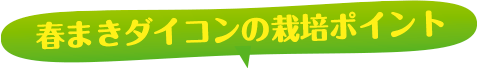 �t�܂��_�C�R���͔̍|�|�C���g