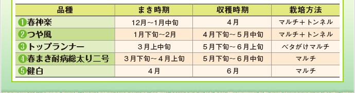 �i��@1.�t�_�y 2.�╗ 3.�g�b�v�����i�[ 4.�t�܂��ϕa������� 5.����