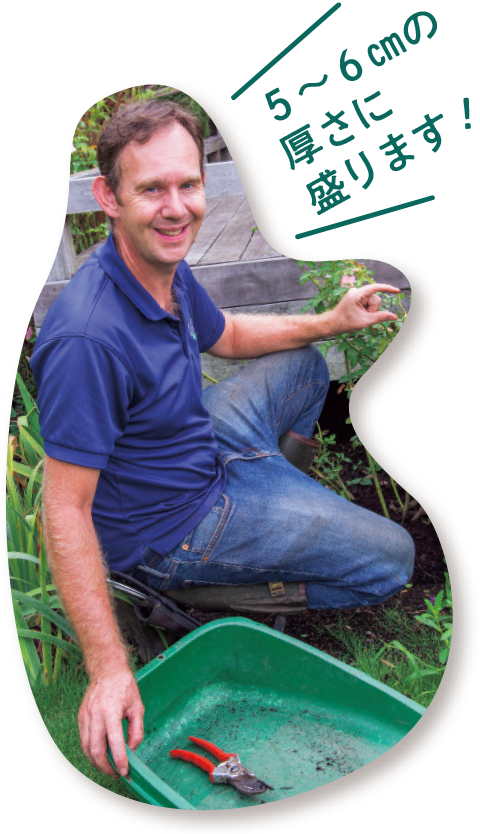 5～6cmの厚さに盛ります！