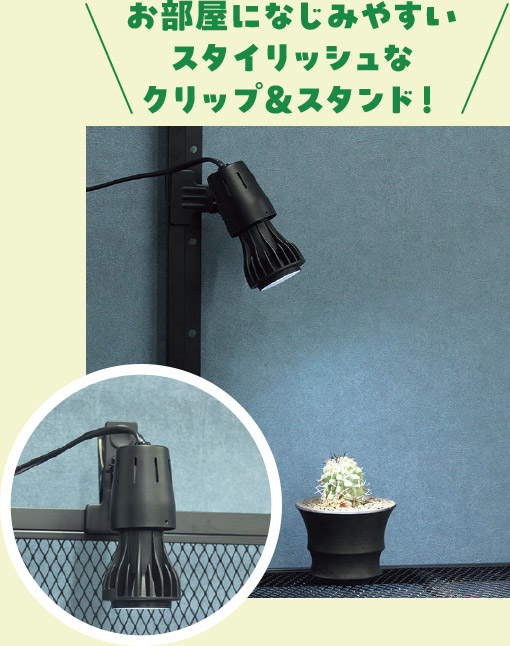 クリップソケット（黒）