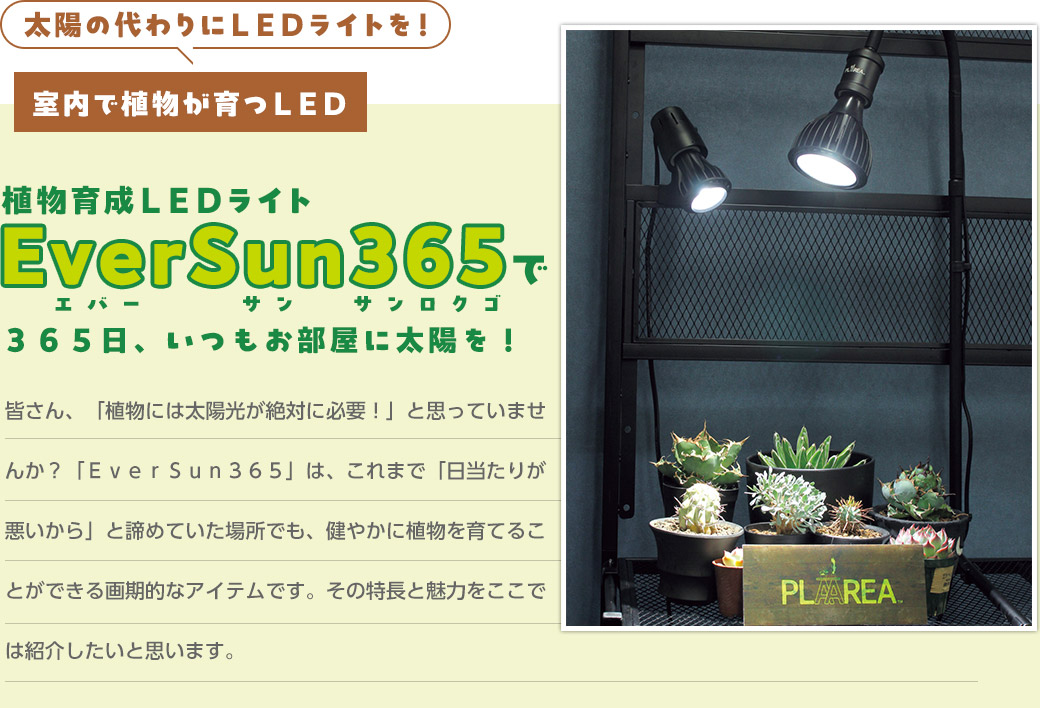 植物育成ＬＥＤライト　EverSun365で３６５日、いつもお部屋に太陽を！