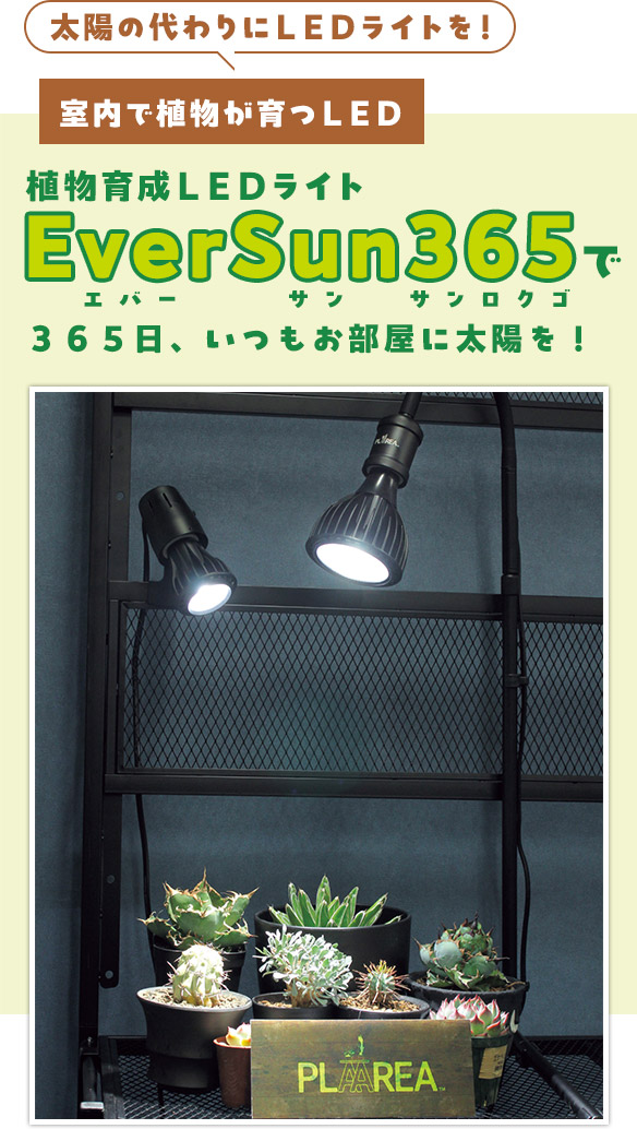 植物育成ＬＥＤライト　EverSun365で３６５日、いつもお部屋に太陽を！