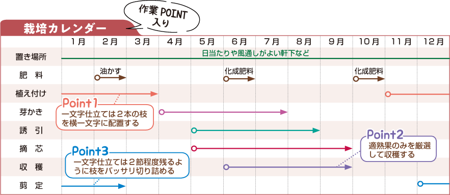 栽培カレンダー
