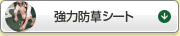 ͖hV[g