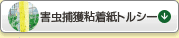 g}gCt