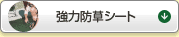 ͖hV[g