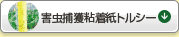 QߊlSgV[