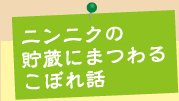 ニンニクの貯蔵にまつわるこぼれ話