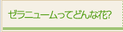 [j[ĂǂȉԁH