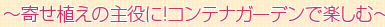 `񂹐A̎ɁIReiK[fŊyށ`