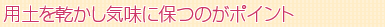 pyCɕۂ̂|Cg